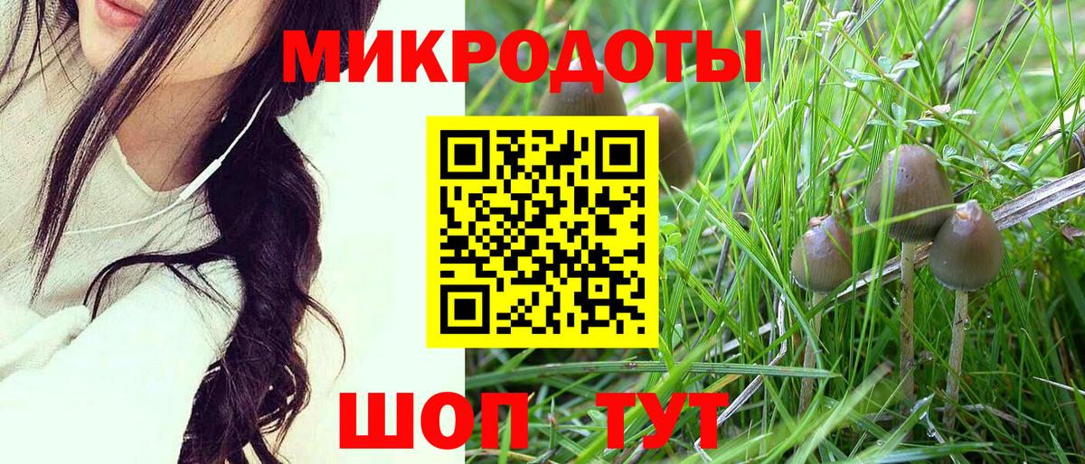 Галлюциногенные грибы MAGIC MUSHROOMS Каспийск
